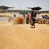 Wheat export ban: India assures food supplies to nations 'most in need' despite shortage