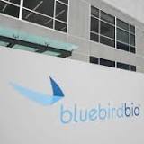 Bluebird's $2.8 million gene therapy for rare blood disorder gets FDA approval