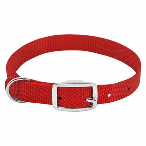 Westminster Pet Products Dog Collar - Red, 3/4" x 20"