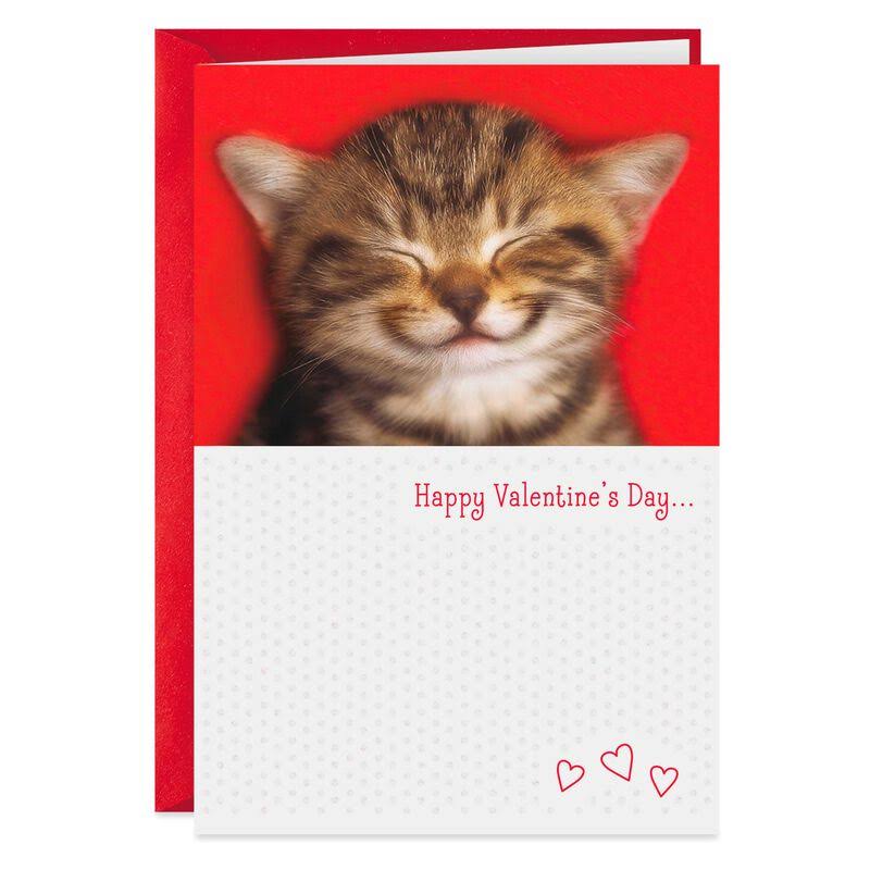 Hallmark Valentine's Day Card, Smiling Kitten Valentine's Day Card