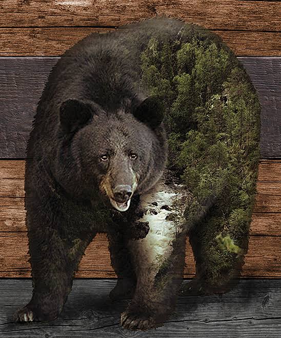 Young's Inc Majestic Bear, Wall Decor
