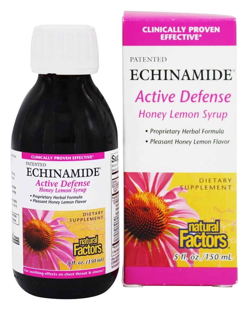 Natural Factors Echinamide Active Defense Syrup - Honey & Lemon, 150ml