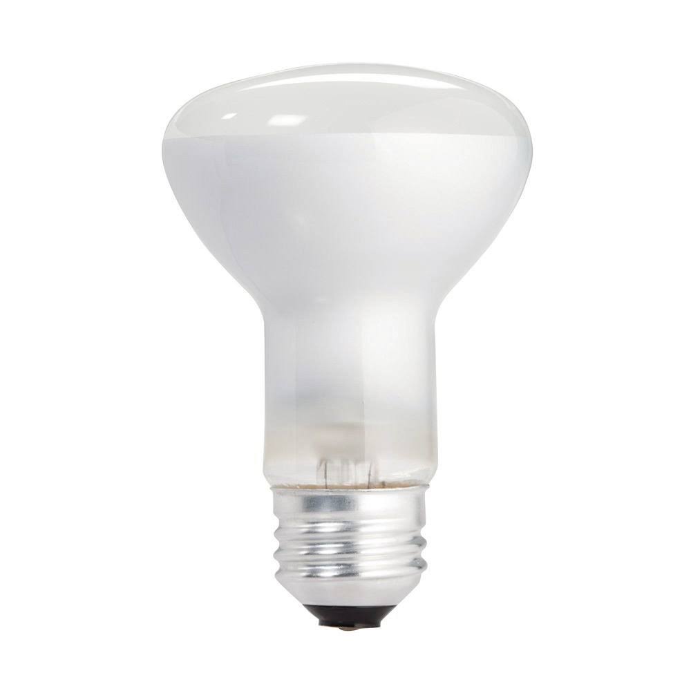 Philips DuraMax 45-Watt Incandescent R20 Dimmable Flood Light Bulb