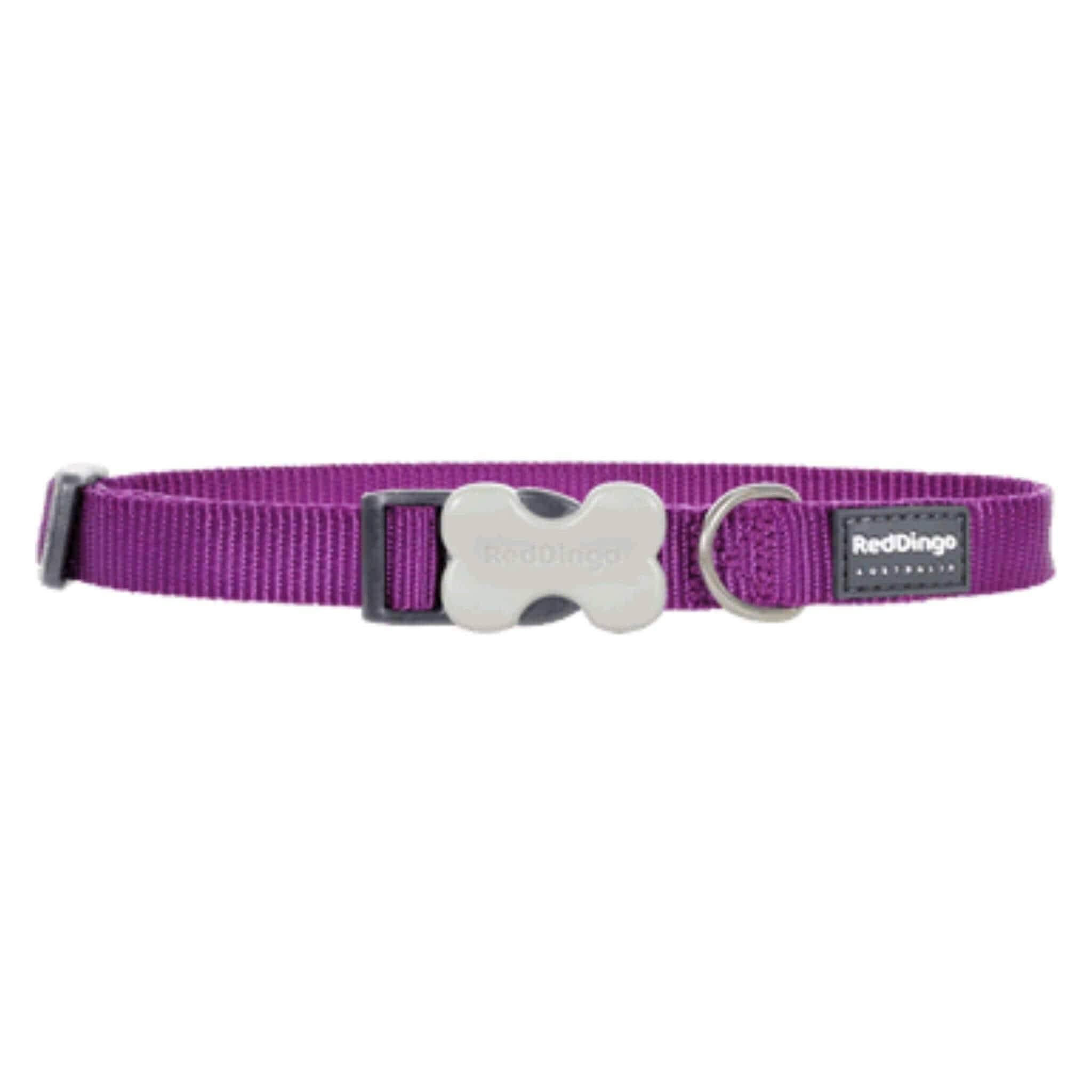 Red Dingo Bucklebone Classic Dog Collars - Purple, 15mm, 24-36cm