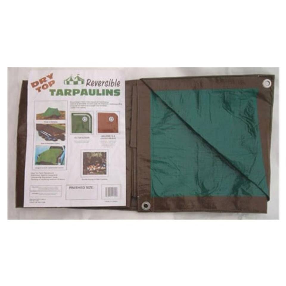Foremost Dry Top Reversible Polyethylene Tarp - 16'x20', Brown and Green