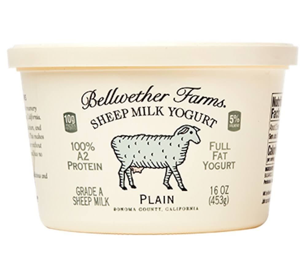 Bellwether Farms Sheep Milk Yogurt, Plain - 16 oz tub