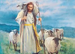 Image result for the good shepherd