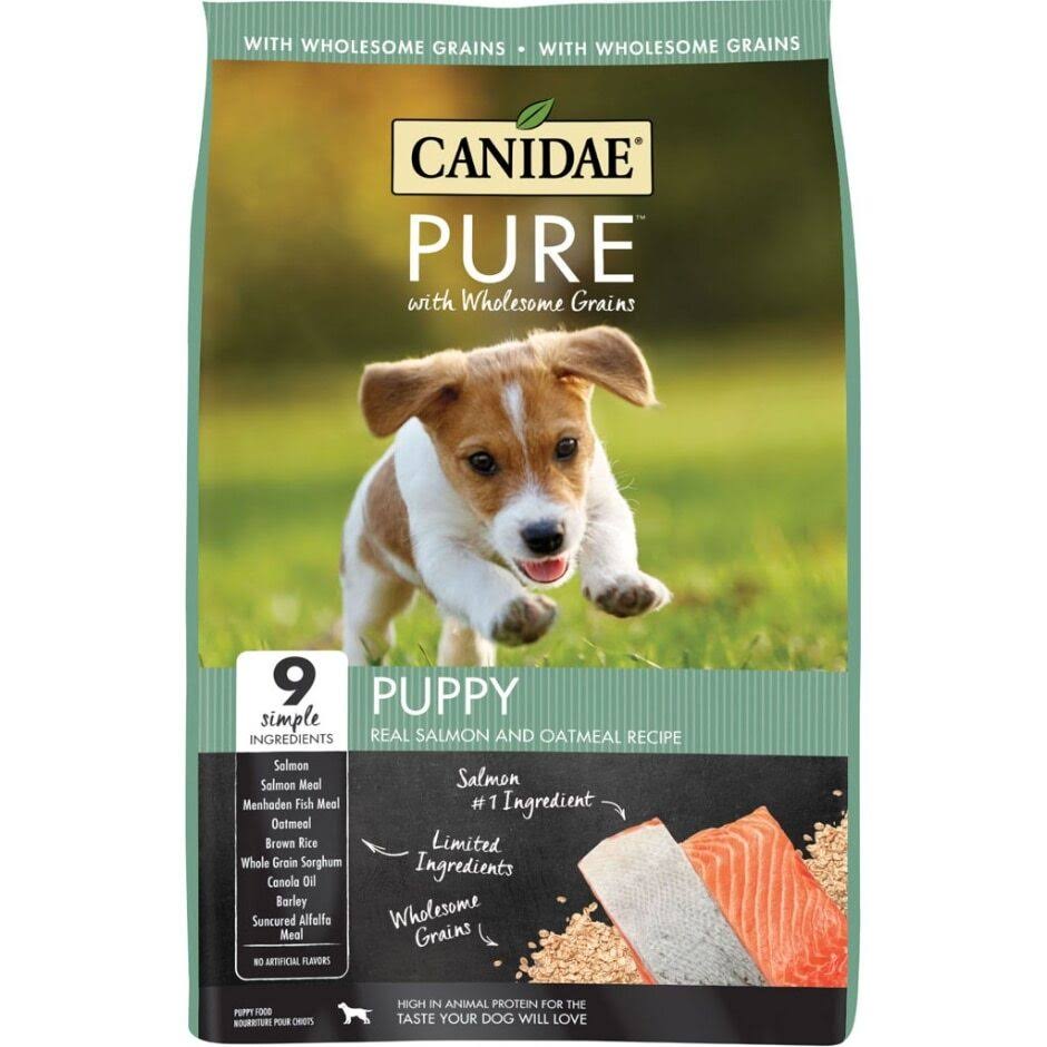 Canidae Pure Wholesome Grains Dry Dog Food, Puppy, Salmon & Oatmeal, 4-lb