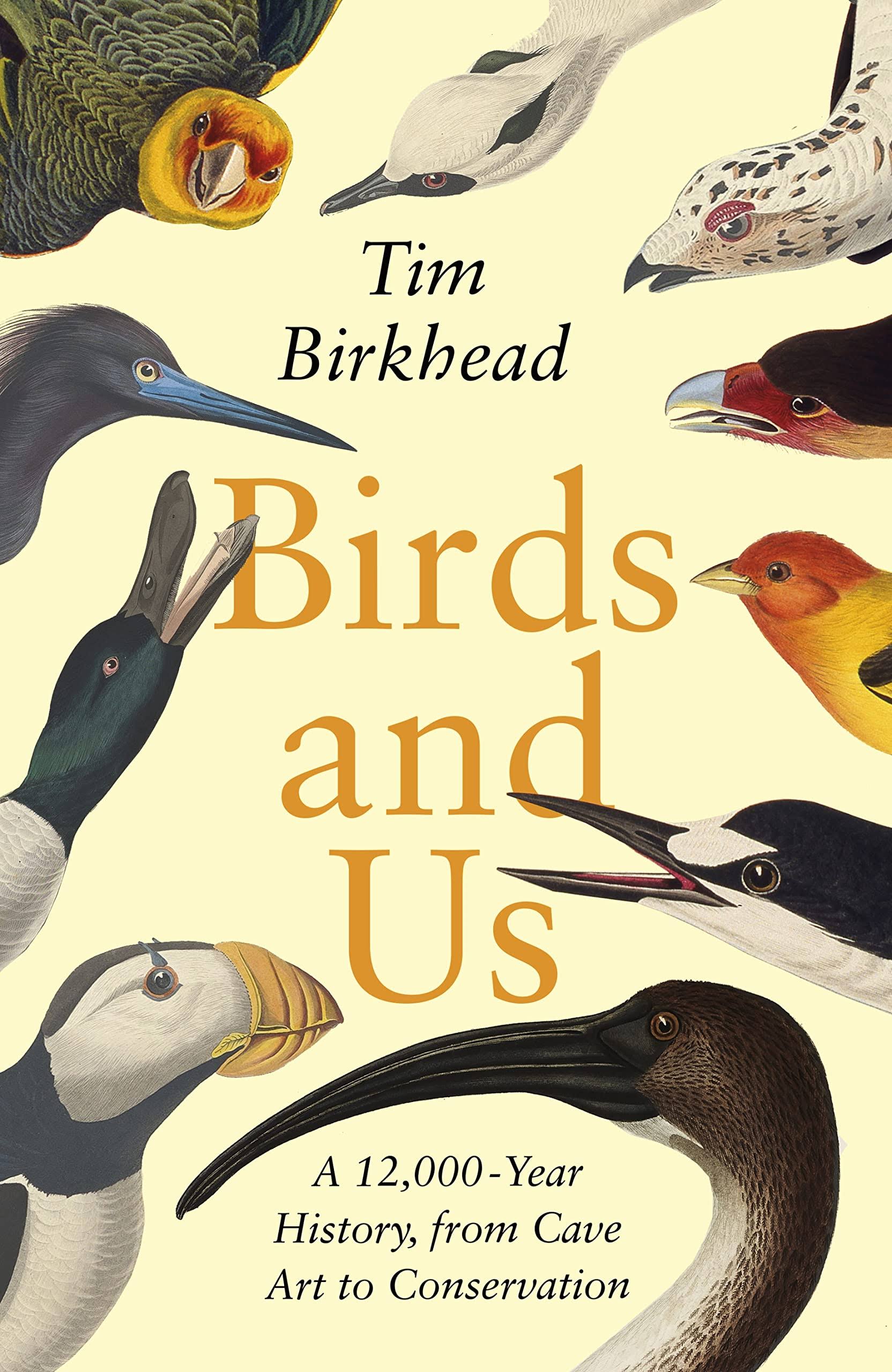 Birds and Us [Book]