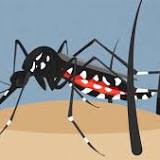 Santa Ana neighborhood where invasive Aedes mosquito was found to be sprayed