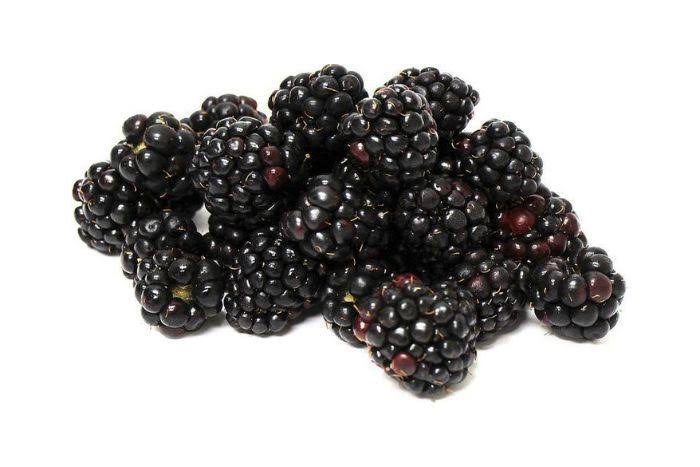 Doves Linda Fruta Blackberry Organic - 1 Unit - Eastside Food Co-op - Delivered by Mercato