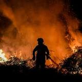 Bordeaux Blazes Rage, Firefighting Pilot Killed In Portugal