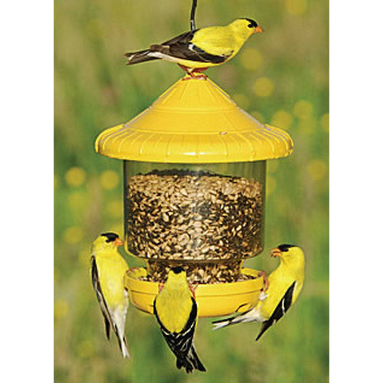Songbird Essentials Clingers Only Bird Feeder (Yellow)