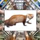 http://bigthink.com/paul-ratner/weasel-shuts-down-large-hadron-collider