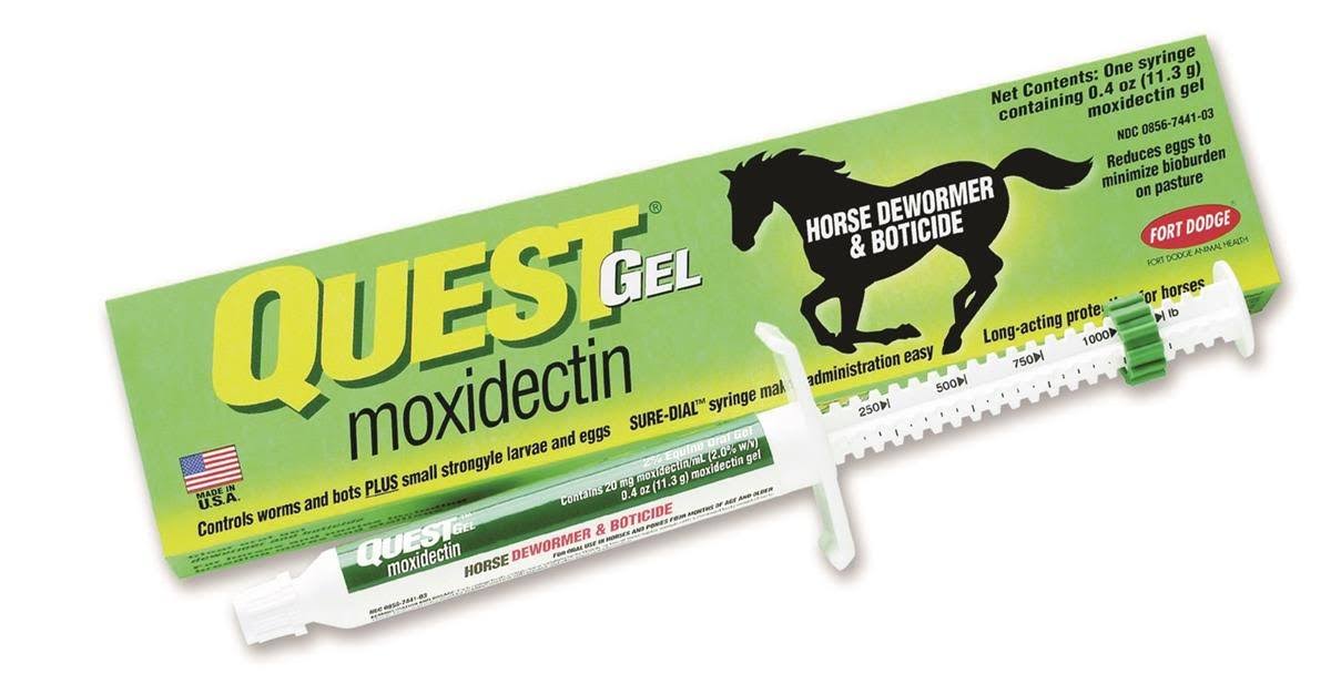 Animal Health Dewormer Quest Equine Oral Gel - 11.3g