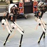 Robot Dogs Can Learn to Walk Faster Than Humans