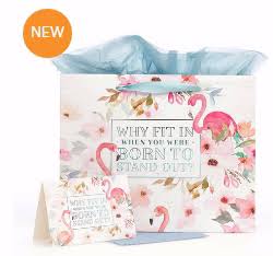 Gift Bag-Why Fit In W/Card & Tissue-Large