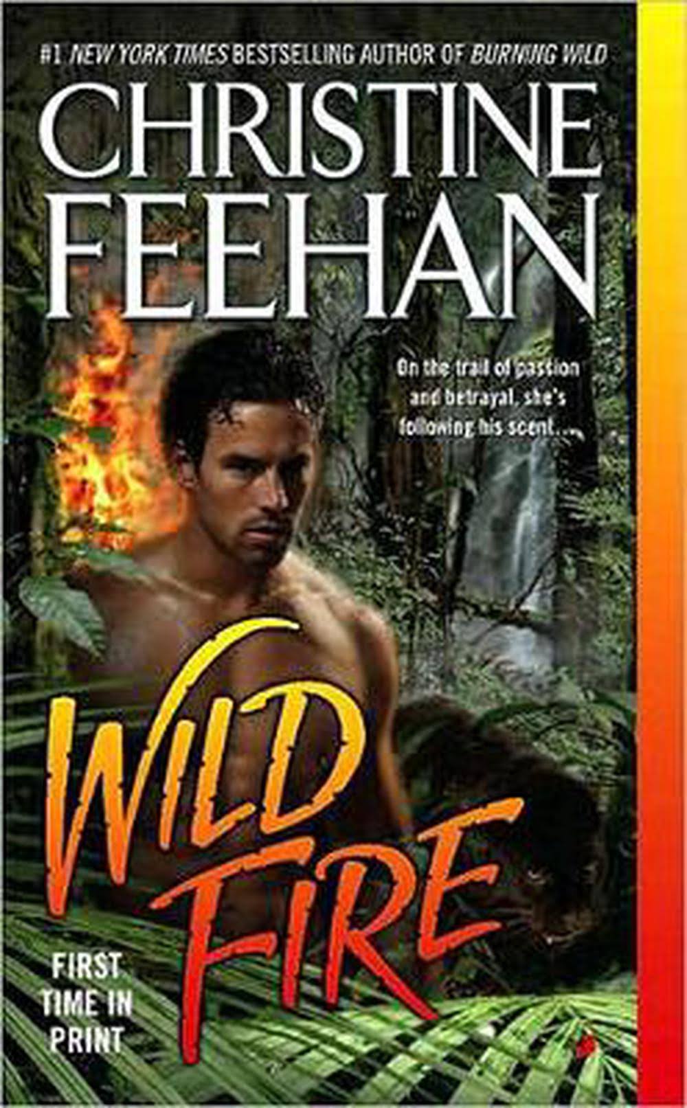 Wild Fire [Book]