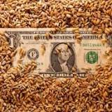 Wheat futures close down nearly 50¢ 