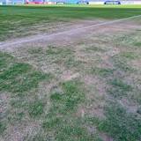 New pictures show true state of CBS Arena pitch after Coventry City vs Rotherham postponed