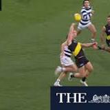 Tom Stewart learns his fate at the AFL tribunal