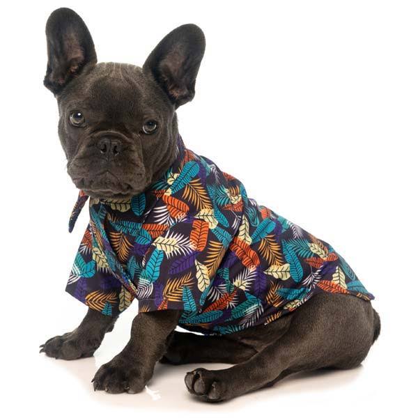 FuzzYard Hawaiian Dog Shirt - Mahalo, Size 2