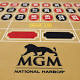 MGM propels Maryland casino revenue to a new record