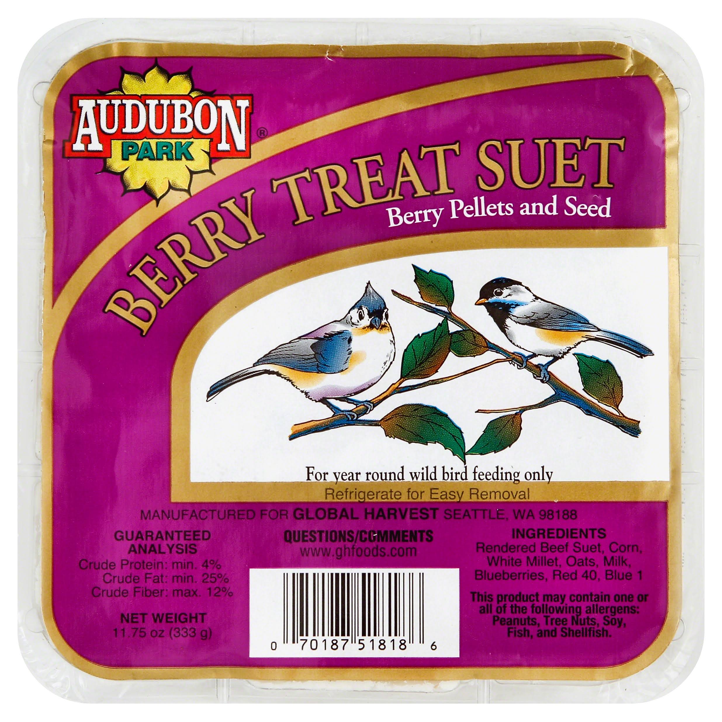 Audubon Park 1844 Berry Treat Suet Bird Seeds - 11.75oz