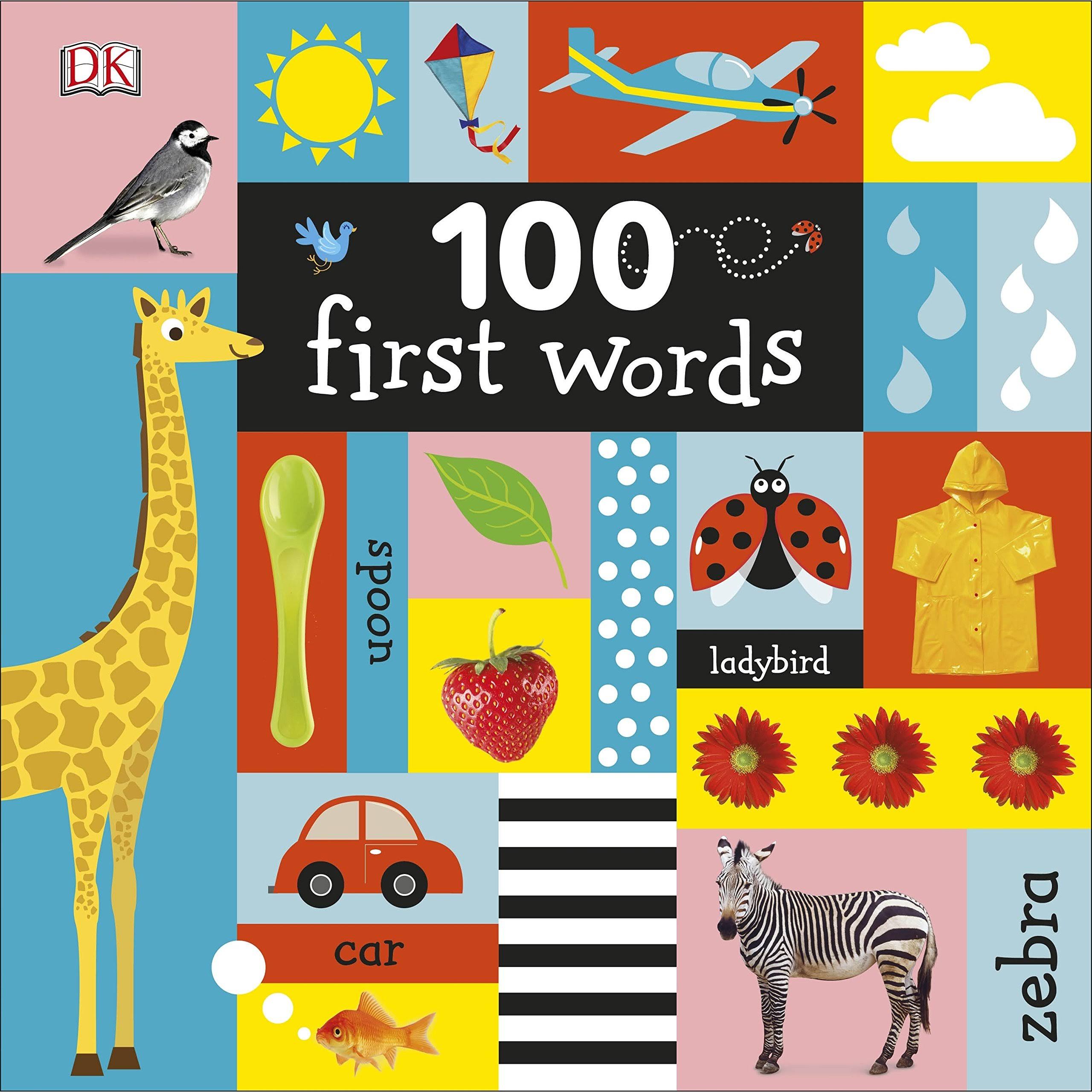 100 First Words - DK