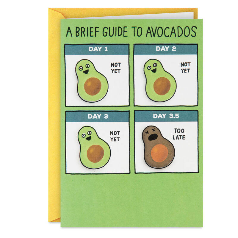Hallmark Birthday Card, A Brief Guide to Avocados Funny Birthday Card