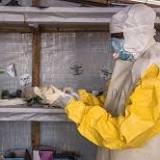 Outbreak of highly contagious Ebola-like virus a 'serious concern'