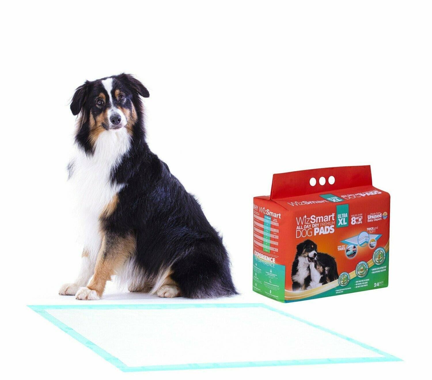 8+-Cup XL ULTRA, All Day Dry - Premium Dog and Puppy Training Pads
