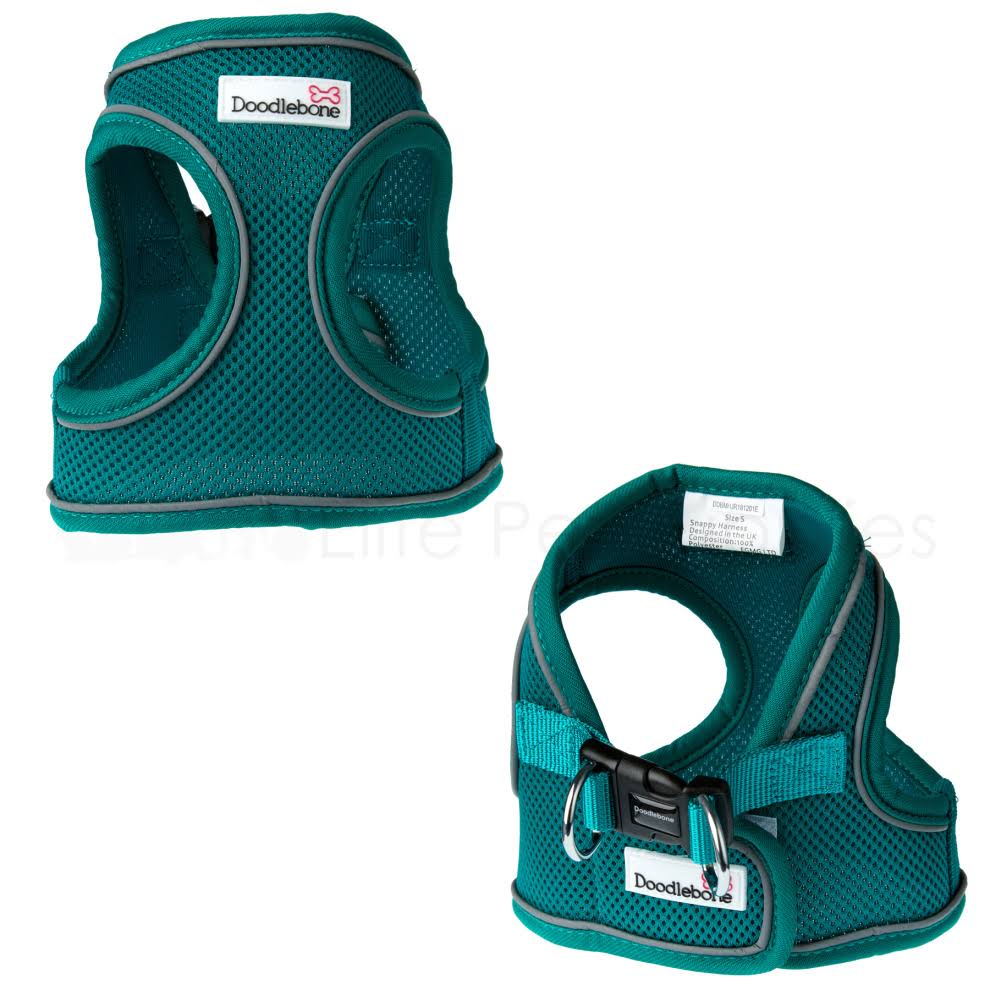 (Teal, L) Doodlebone Snappy Harness