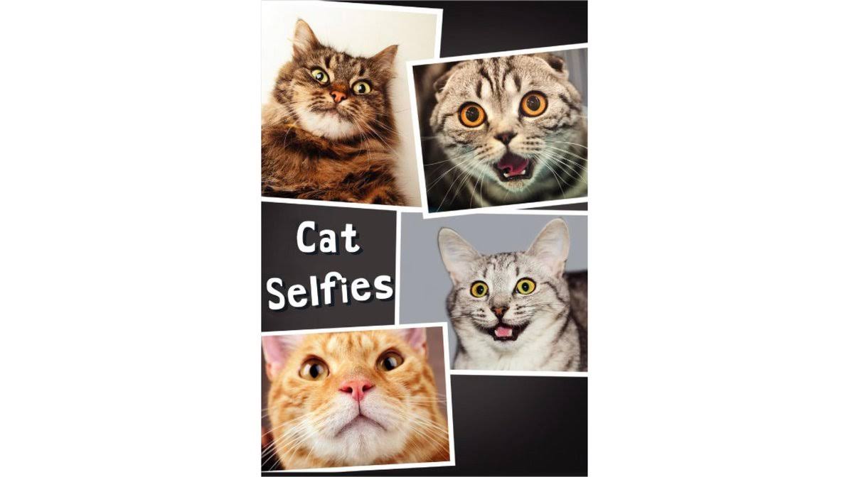 Cat Selfies Birthday Card 1ct | Dashmart