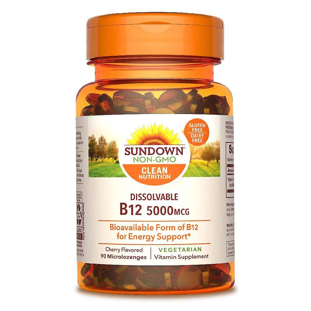 Sundown Naturals Vitamin B12 - 5000 mcg, 90 ct