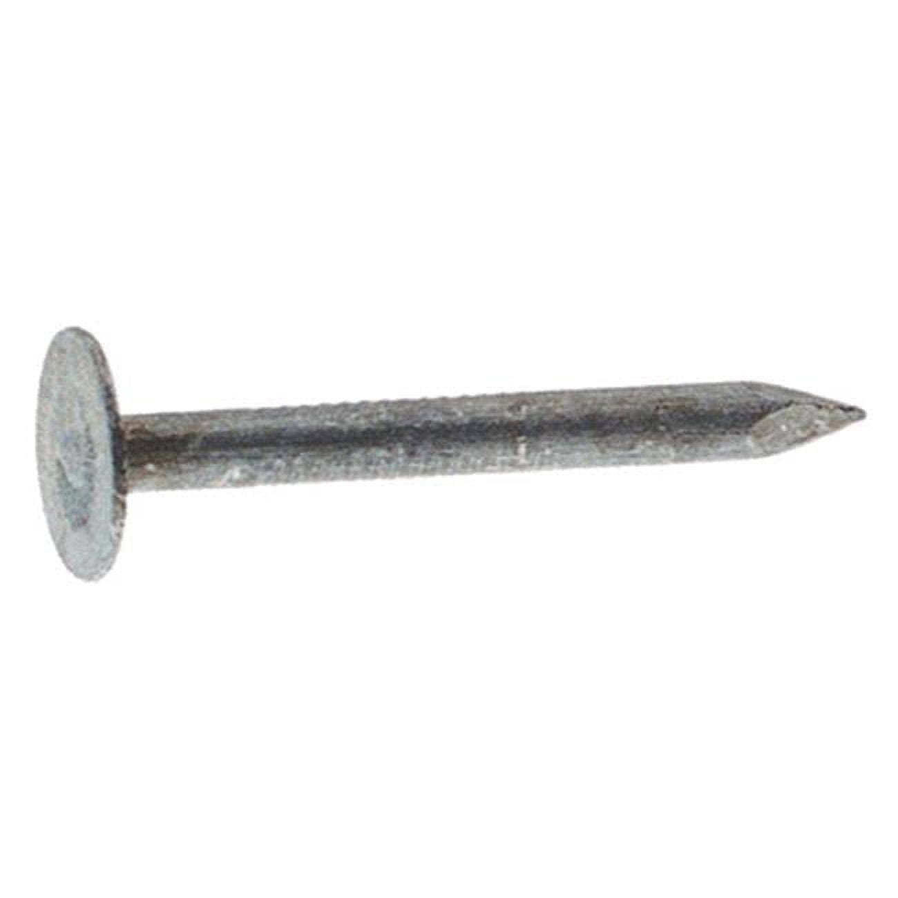 The Hillman Group Galvanized Roof Nail - 2-1/2", 11 Gauge