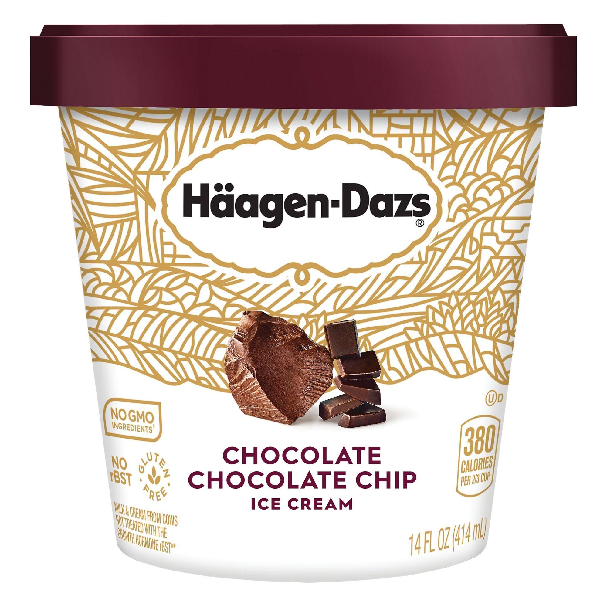 Haagen-Dazs Ice Cream - Chocolate Chocolate Chip