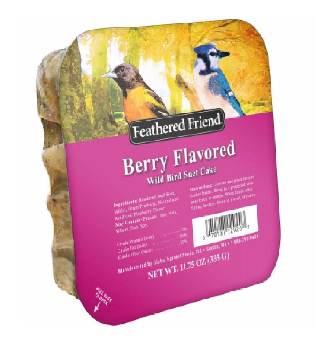 Global Harvest Foods 109804 Berry Flavor Wild Birds Suet Cake