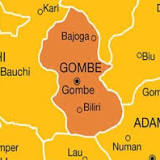 Gombe declares cholera outbreak, records 10 deaths, 236 cases