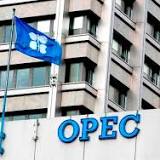 OPEC quota: Block leakage points of stolen crude to increase production