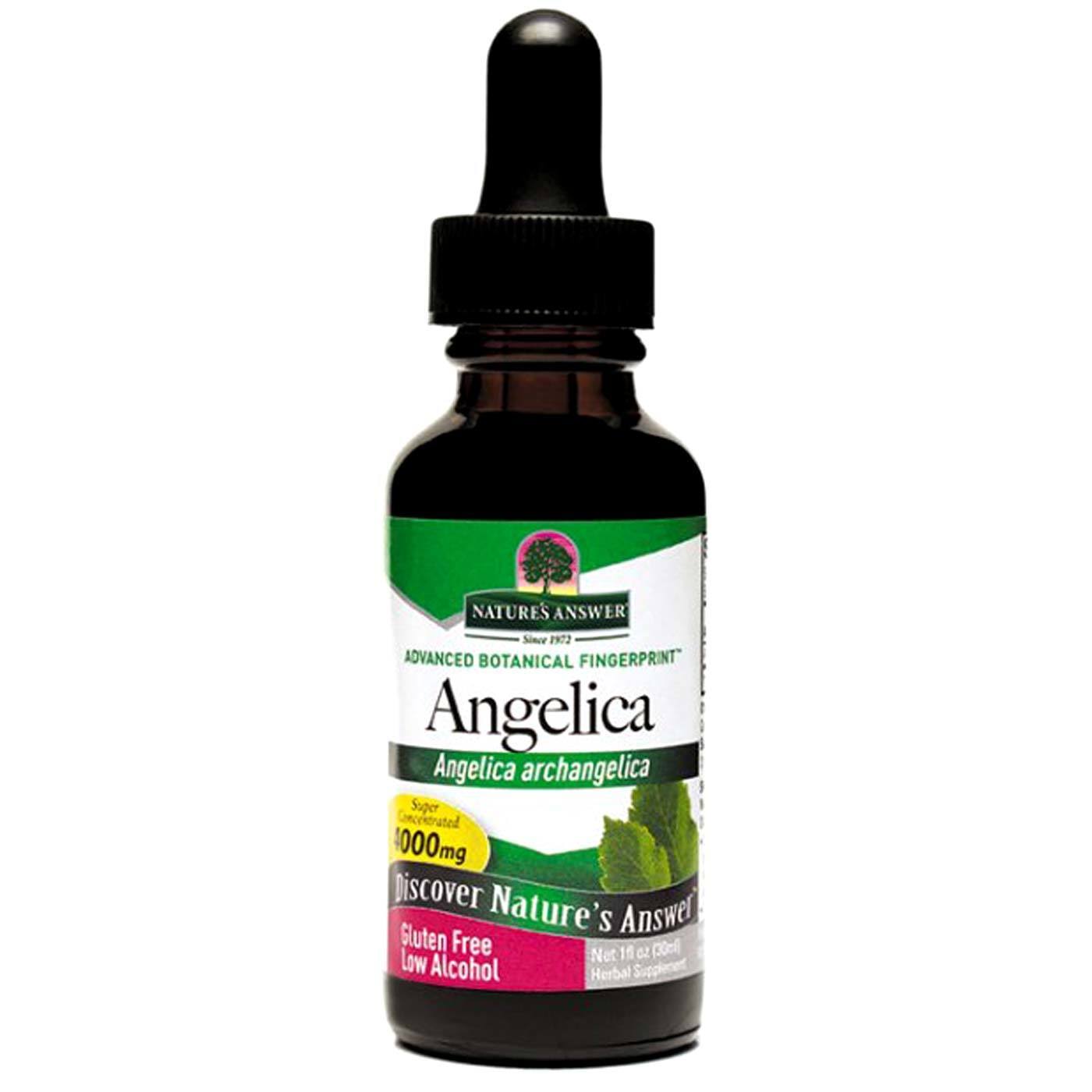 Natures Answer Angelica Root Extract - 1oz