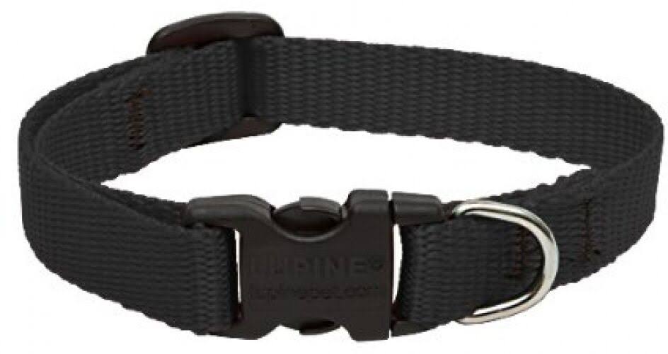 Lupine Adjustable Dog Collar for Small Dogs 1/2-inch/ 8 - 12-inch Black