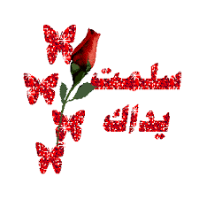 رد: «الداخلية»: جميع صناديق «الرئاسة» سليمة.. وملتزمون بالحياد