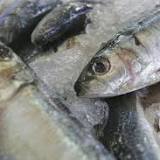 How eating oily fish could impact your brain health, according to scientists