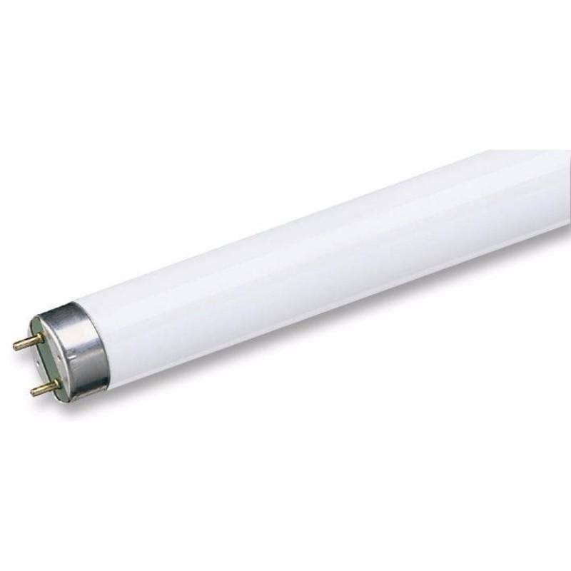 Crompton T8 Triphosphor Fluorescent Lamp Tube - F15W/840