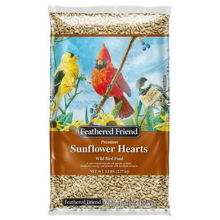 Feathered Friend Sunflower Hearts Wild Bird Food - 5 lb