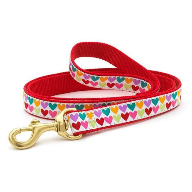 Up Country PHTLFLW 6 ft. Wide Pop Hearts Lead for Pet