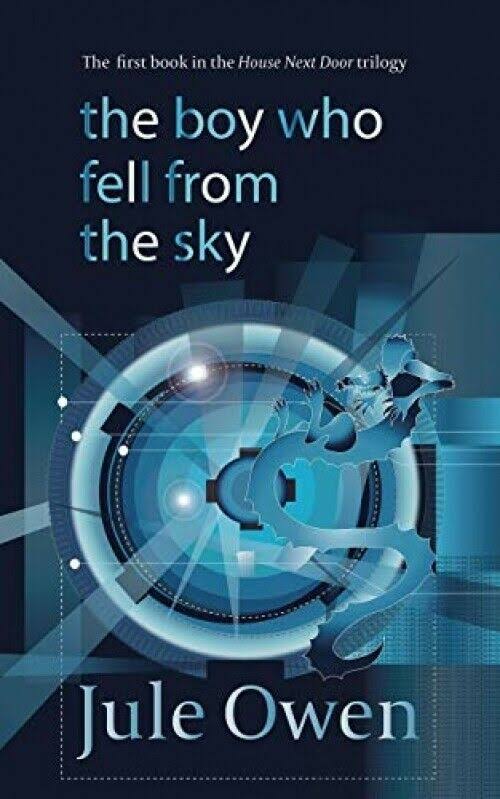 The Boy Who Fell from the Sky [Book]