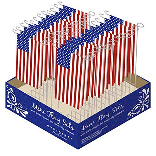 Evergreen American Mini Flag Boxed Set Set of 24