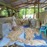 Coastal farmers got a boost in abaca production and marketing following the signing of a memorandum of agreement ...